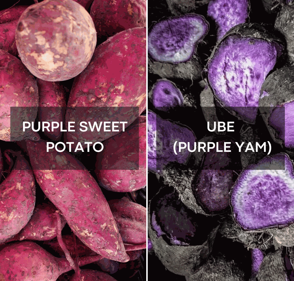 Ube vs. Lila Süßkartoffel