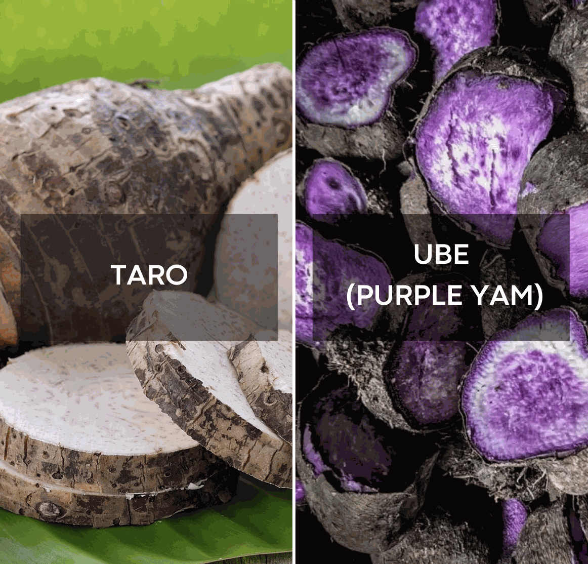 Ube vs. Taro: Was ist der eigentliche Unterschied?
