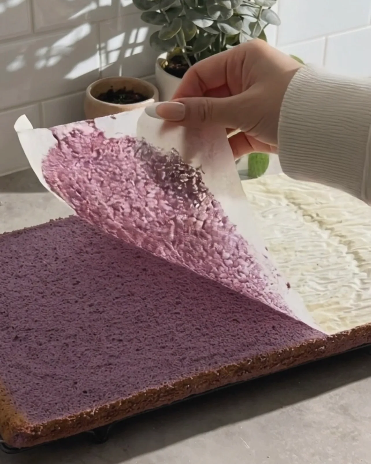 Backpapier von einem frisch gebackenen lila Ube-Chiffonkuchenblatt abziehen von UBE NOLIA